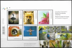 2010 - 2388 S/S Canada Wildlife Photography Birds, Fox, Insects - cv$6 - Picture 1 of 1