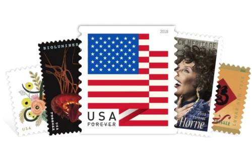 Actualización de envío con USPS Ground - Entrega en 10-20 días Exclusivo para bestjet Foto 1 de 1