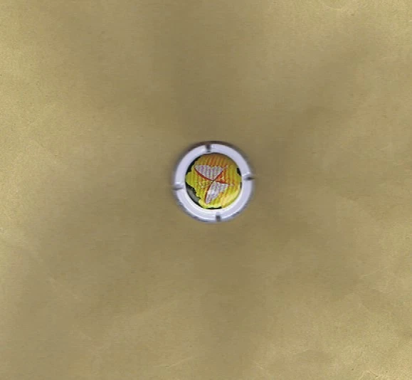 Capsule de Champagne De CASTELLANE - N° 70 ( Papillon ) - Photo 1/1