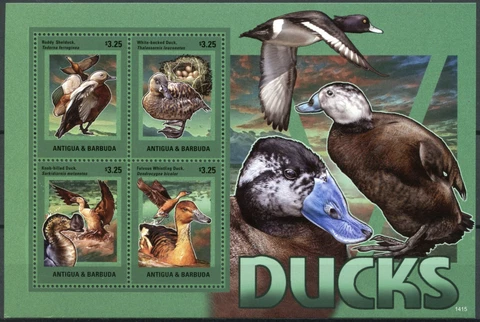 Antigua & Barbuda Birds on Stamps 2014 MNH Ducks Shelduck Whistling Duck 4v M/S Cover