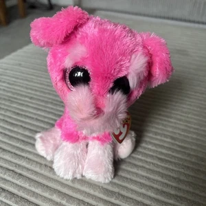 Beanie Boo Cherry The Schnauzer Claire’s exklusiv mit Etikett.  - Bild 1 von 4