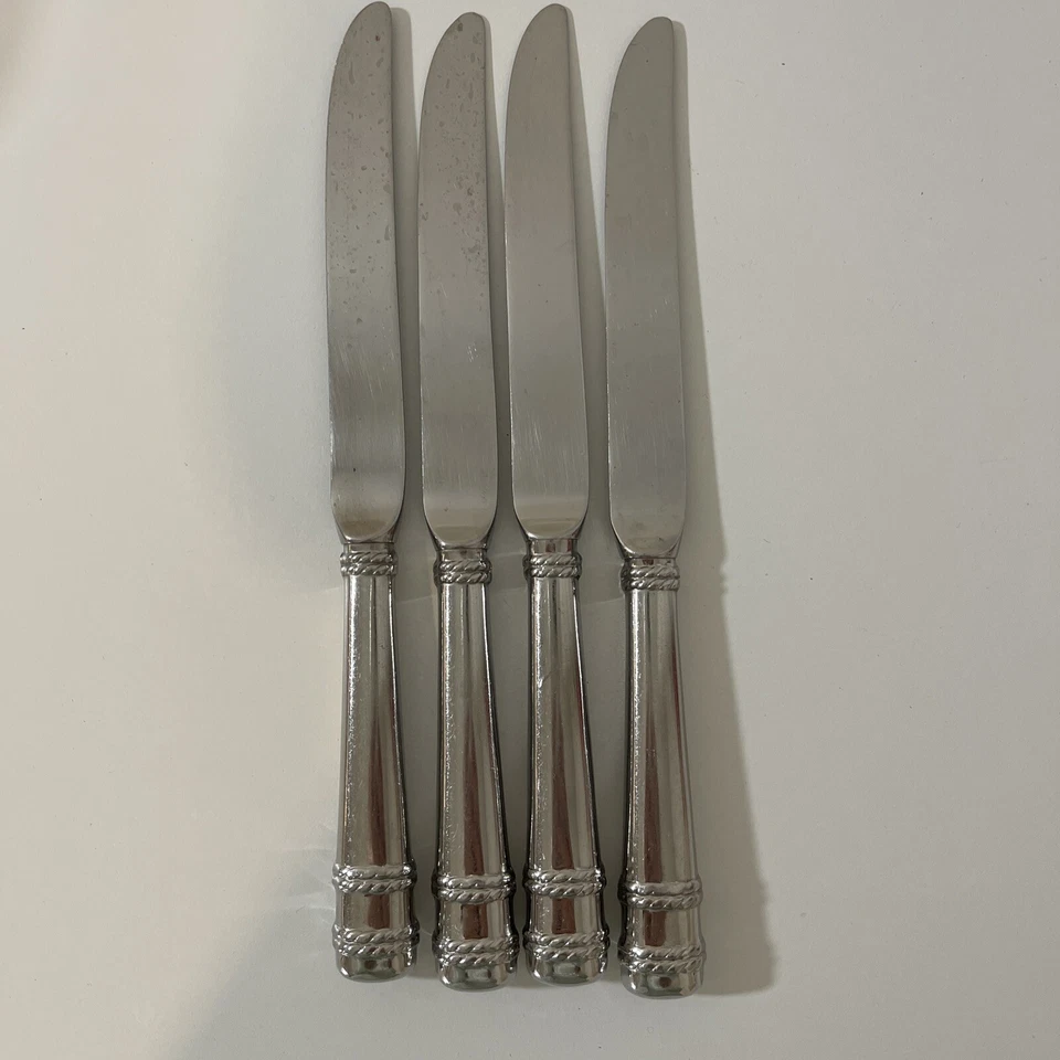批量 4 件 Cipullo 适用于 Mikasa AMORE 不锈钢中空晚餐刀 #1 — 第 1/4 张图片