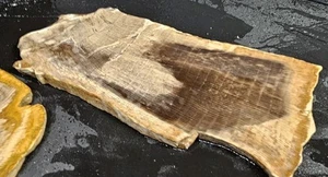 Petrified Sycamore Wood Lapidary Stone Slab Rough Rock Fossil R45 3 Slabs - Picture 1 of 12