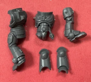 NUEVO Space Wolves TORSO Y PATAS DE CAZADORES GRISES (B) - Bits 40K - Imagen 1 de 2