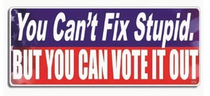 Autoaufkleber - You Can't Fix Stupid. ABER SIE KÖNNEN ES ABWÄHLEN - Bild 1 von 3