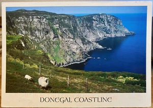 Postal Irlandesa DONEGAL COASTLINE Acantilados Ovejas Irlanda F Zaska John Hinde 2/DL059 - Imagen 1 de 2