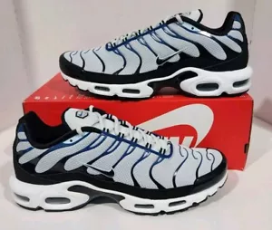 Nike Air Max Plus Pure Platinum Black Court Blue Men's SZ 14 NEW FN6949 001 - Picture 1 of 7