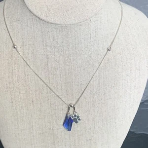 Alex and Ani silver slide chain with blue crystal and dog paw charm - Picture 1 of 8