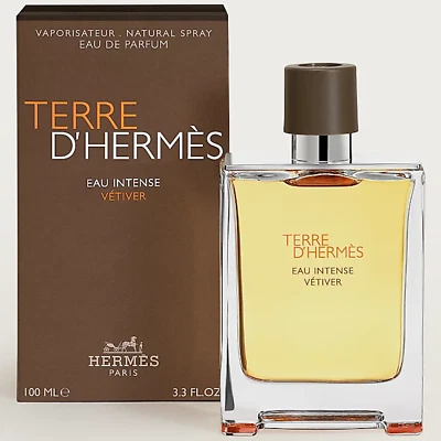 HERMES Terre D'HERMÈS Eau Vetiver Intenso EDP 100 ml Foto 1 de 2