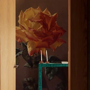 3D Big Rose Floral Wall Mural Removable Peel and Stick Vinyl Decal 147.6X98.4" U - Picture 1 of 9