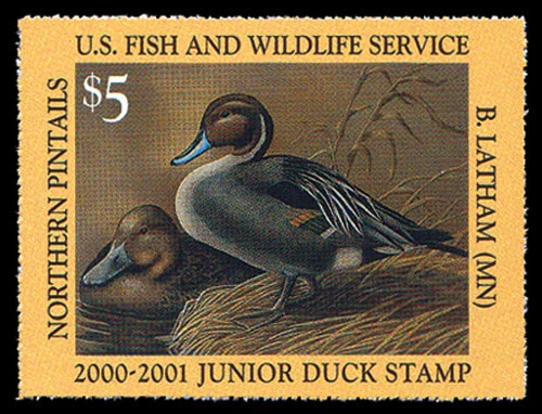 JDS8 — 2000 Junior Duck Stamp - Image 1 of 1