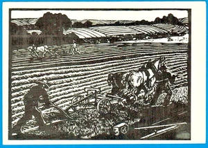 I.Sokolov 1958 Russian postcard PEASANTS ARABLE LAND - Foto 1 di 2