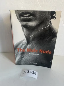 Male Nude by David Leddick (1998, Trade Paperback Vintage) - Foto 1 di 16