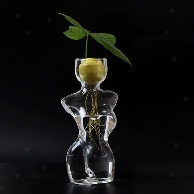 Kleine Avocadosamen-Startervase für drinnen und draußen, Blumentopf aus - Bild 1 von 4