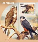 Birds of Prey MNH Stamps 2022 Niger S/S