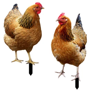 2PCS Garden Hen Insert Chicken Yard Garden Statue Garden Standing Rooster - Picture 1 of 12