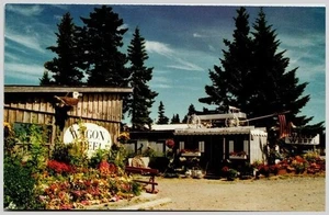 Alaska Postcard: Homer Spit Wagon Wheel, Hume 35313-E, Modern Era - Picture 1 of 2