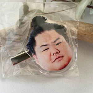 Daieisho Sumo Wrestler Haarnadel Sumo Gacha Japan Neu ohne Kapsel - Bild 1 von 1