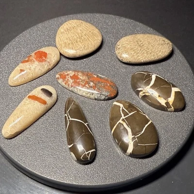 Lot of 8 Michigan Cabochons Charlevoix Puddingstone Lightning Stone Glows #1219 - Image 1 of 4