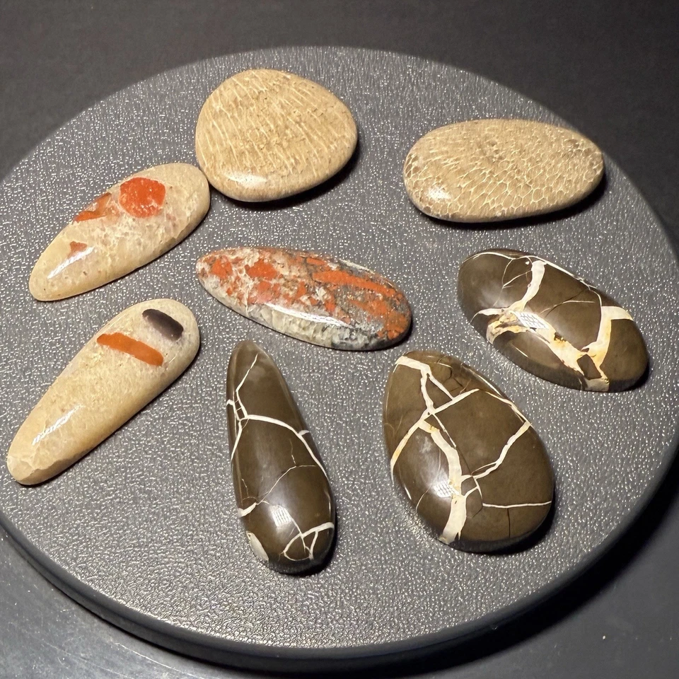 Lot of 8 Michigan Cabochons Charlevoix Puddingstone Lightning Stone Glows #1219 - Image 1 of 4