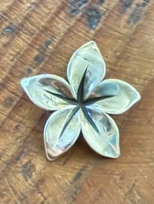 Colgante James Avery Retirado Flor Radiante Plata de Ley 925 Foto 1 de 4