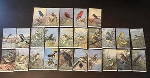 Set 25 Vintage NATIONAL AUDUBON SOCIETIES - Sommer VOGEL KARTEN Ost Nordamerika - Bild 1 von 16