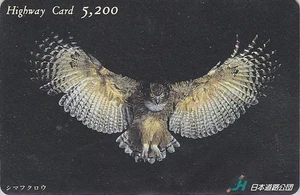 Carte JAPON - ANIMAL - OISEAU HIBOU CHOUETTE  - OWL BIRD JAPAN card - EULE - Foto 1 di 1