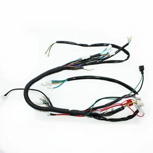 Arnés de cableado de motor Rec Reg + cables ligeros 125cc PIT Trail Dirt Bike - Imagen 1 de 12