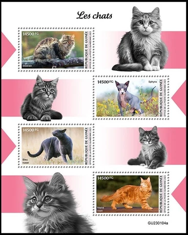 GUINEA 2023 CATS CHATS KATZE GATTI GATOS Cover