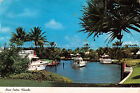 D102851 Boca Raton. Florida. Tropical Palm Trees. Curteichcolor. D. And M. Post