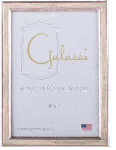 F. G. Galassi Handmade Fine Italian Wood Cream/Silver Mesa 17680 8"x10" frame - Picture 1 of 1
