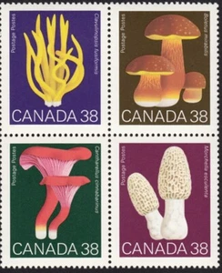 HONGOS = Canadá 1989 #1248a MNH Inquilino Bloque de 4 sellos - Imagen 1 de 1