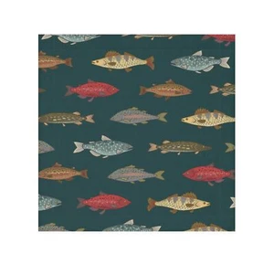 Variety of Colored Fish Face Towel - Picture 1 of 5