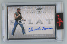 Chuck Norris 2023 Leaf Decadence Pop Century Eclat Autograph Silver Auto 1/2