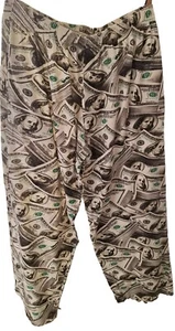 Boys Lg Casual 100 Dollar Bill Print Loungewear Pajama Pants Elastic Waist W/Fly - Picture 1 of 15
