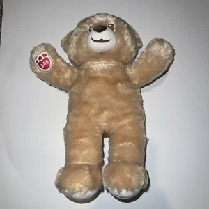 Bear Build-A-Bear Workshop 2017 Plush National Teddy Bear Day Special Stuffed - Picture 1 of 12