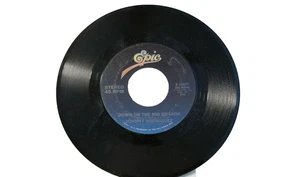 45 RECORD - JOHNNY RODRIGUEZ - DOWN THE RIO GRANDE - Picture 1 of 1