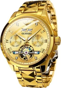 OUPINKE Mens Watch Automatic Mechanical Waterproof Chronograph Luminous Gift NEW - Picture 1 of 6