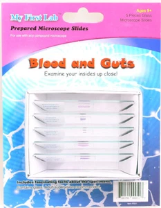 Microscopio de sangre e intestino MY First Lab diapositivas C&A 000517 - Imagen 1 de 1