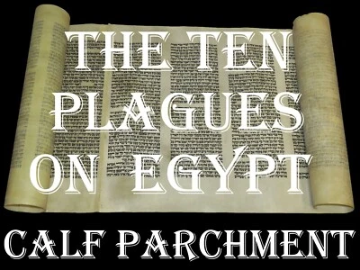 LARGE TORAH BIBLE SCROLL MANUSCRIPT 100 YEARS OLD ISRAEL "The Plagues on Egypt" - Image 1 of 4