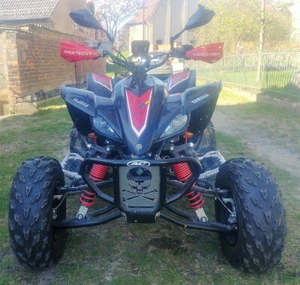 Yamaha YFZ 450 Sonderedition/ Vergasermodell mit Straßenzulassung und TüV - Bild 1 von 9