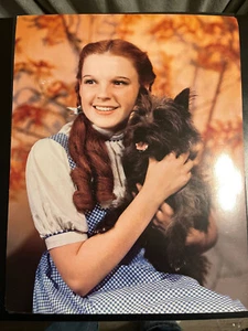 Judy Garland Toto Wizard Of Oz Color 14x11 Pict/Poster/Pic (Details in Listing) - Picture 1 of 4