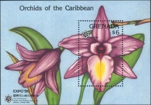 Grenada 1990 EXPO '90/Orchidee/Fiori/Piante/Natura/Orchidea 1v m/s (b490w) - Foto 1 di 1