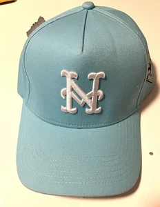 Himmelblaue New York Mets SnapBack Mütze Magic 67 (1954-2003) - Bild 1 von 5