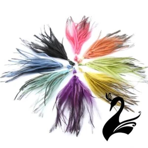 Feather Emu Bunch (15-20cm) - Craft Millinery Fly Fishing - Picture 1 of 29