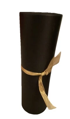 AeroPilates Total Gym Floor Exercise Protection Equipment Mat Black 18" x 82” - Image 1 of 2