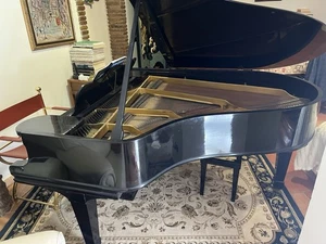 pianoforte Steinway a coda usato - Foto 1 di 9