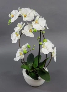 Orchidee Real Touch 58x28cm weiß in weißer Keramikschale GA Kunstblumen - Bild 1 von 4
