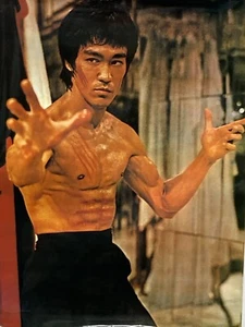 Stampa poster Bruce Lee #BL-011 (solo stampa laminata - senza cornice) 15" L x 20-7/8" L USATO - Foto 1 di 8