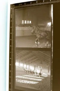 zwei tolle alte Negative - Pferde Reitstall - Werbung .Fürstl. Brauerei Thurn un - Picture 1 of 1